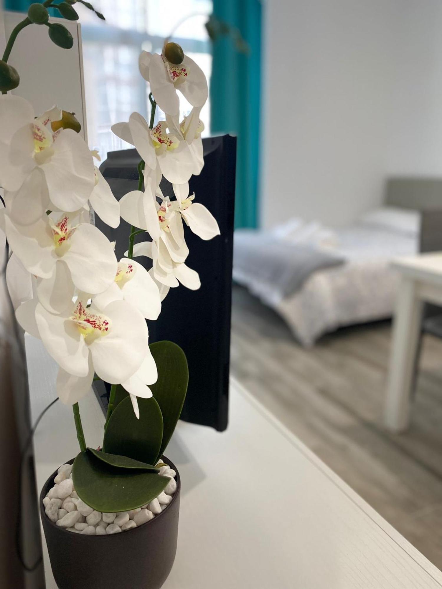 Apartment Torre Centro Torremolinos